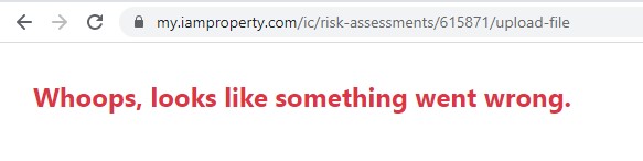 Whoops_look_like_something_went_wrong.jpg